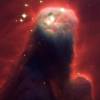 NGC 2264